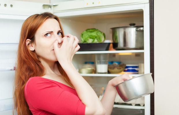 Когда плохо пахнет в холодильнике